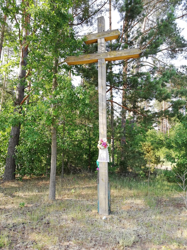 Soce
Krzyże przy lesie
